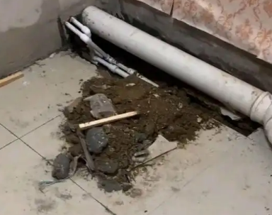 隆子卫生间漏水检测哪家好