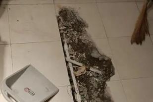 隆子卫生间漏水检测电话